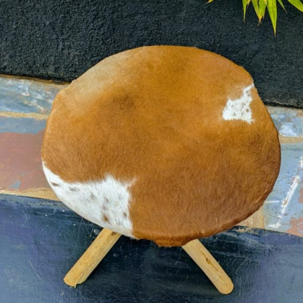 agasongabugari stool