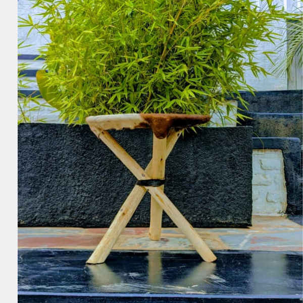 agasongabugari stool