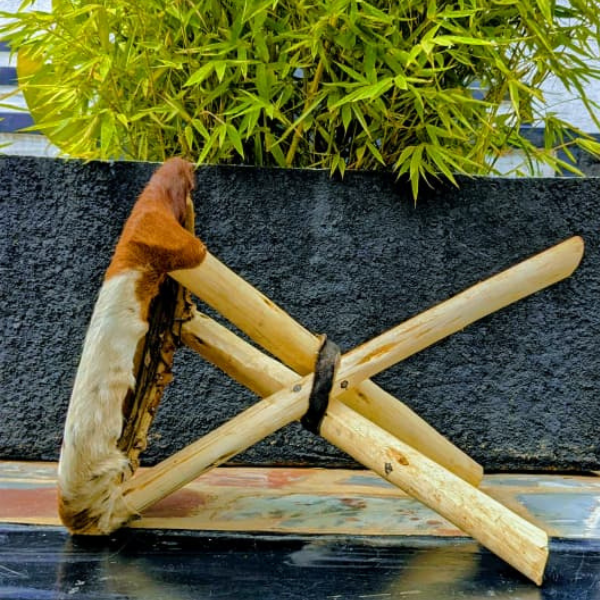 agasongabugari stool
