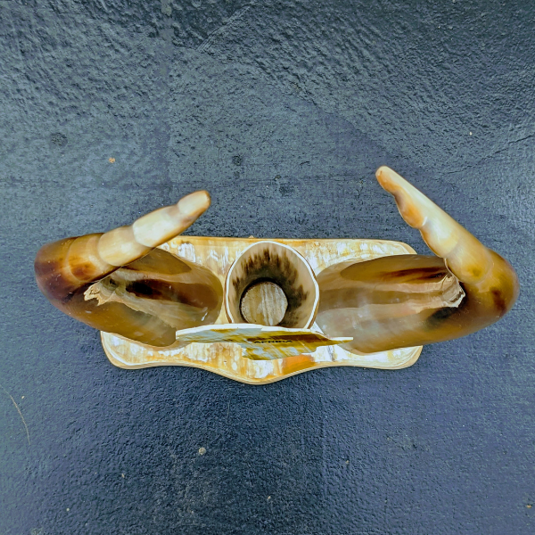 A minimalist decor object made from a natural, polished animal horn, representing traditional African craftsmanship.