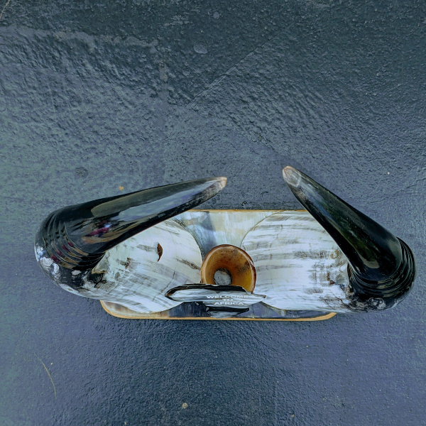 A minimalist decor object made from a natural, polished animal horn, representing traditional African craftsmanship.