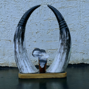 A minimalist decor object made from a natural, polished animal horn, representing traditional African craftsmanship.